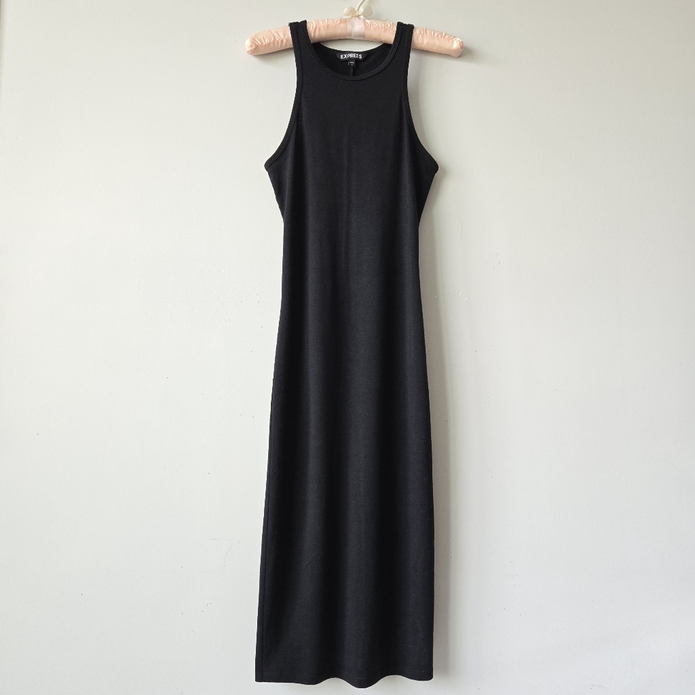Express Bodycon Dress